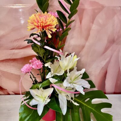 Lumière des Pétales